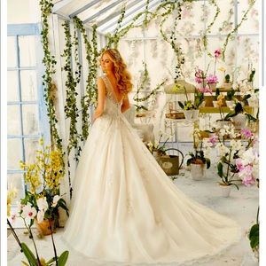 Plus Size Wedding Dress (Real Size 18/20)